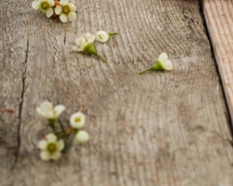 ZORG VOOR GEZONDE VOETEN
