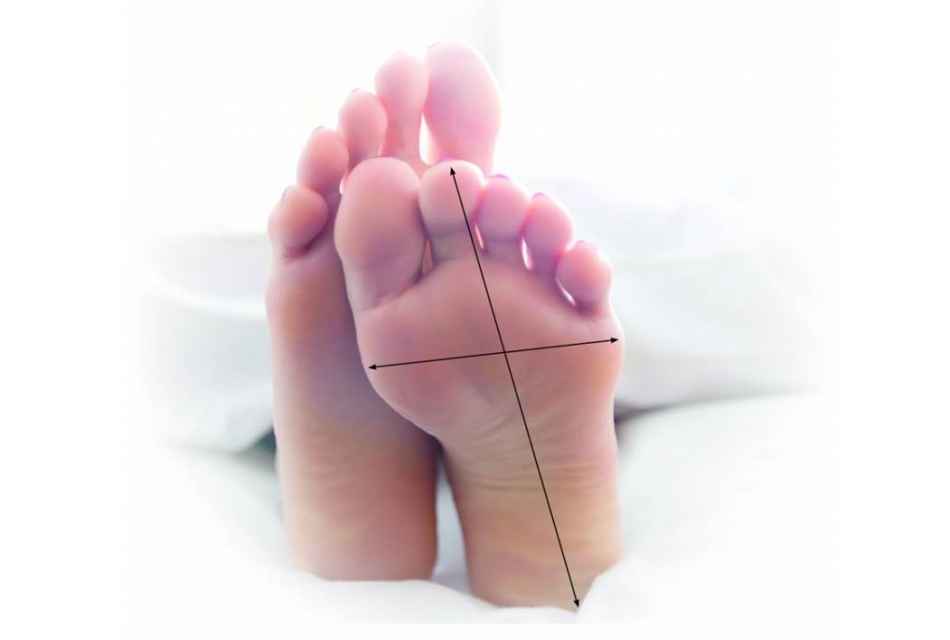 WIJ METEN DE JUISTE LENGTE & BREEDTE